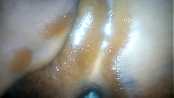 Penis Penis