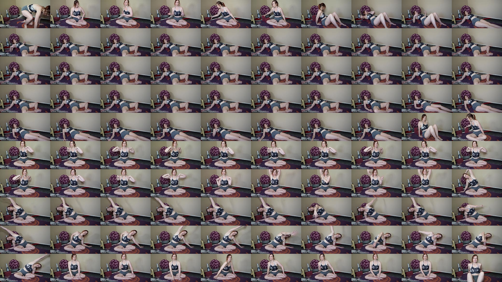 Yoga Lesson 360 预览图
