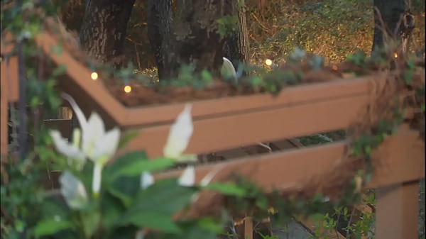 Her man is as devoted to her pleasure as she is...