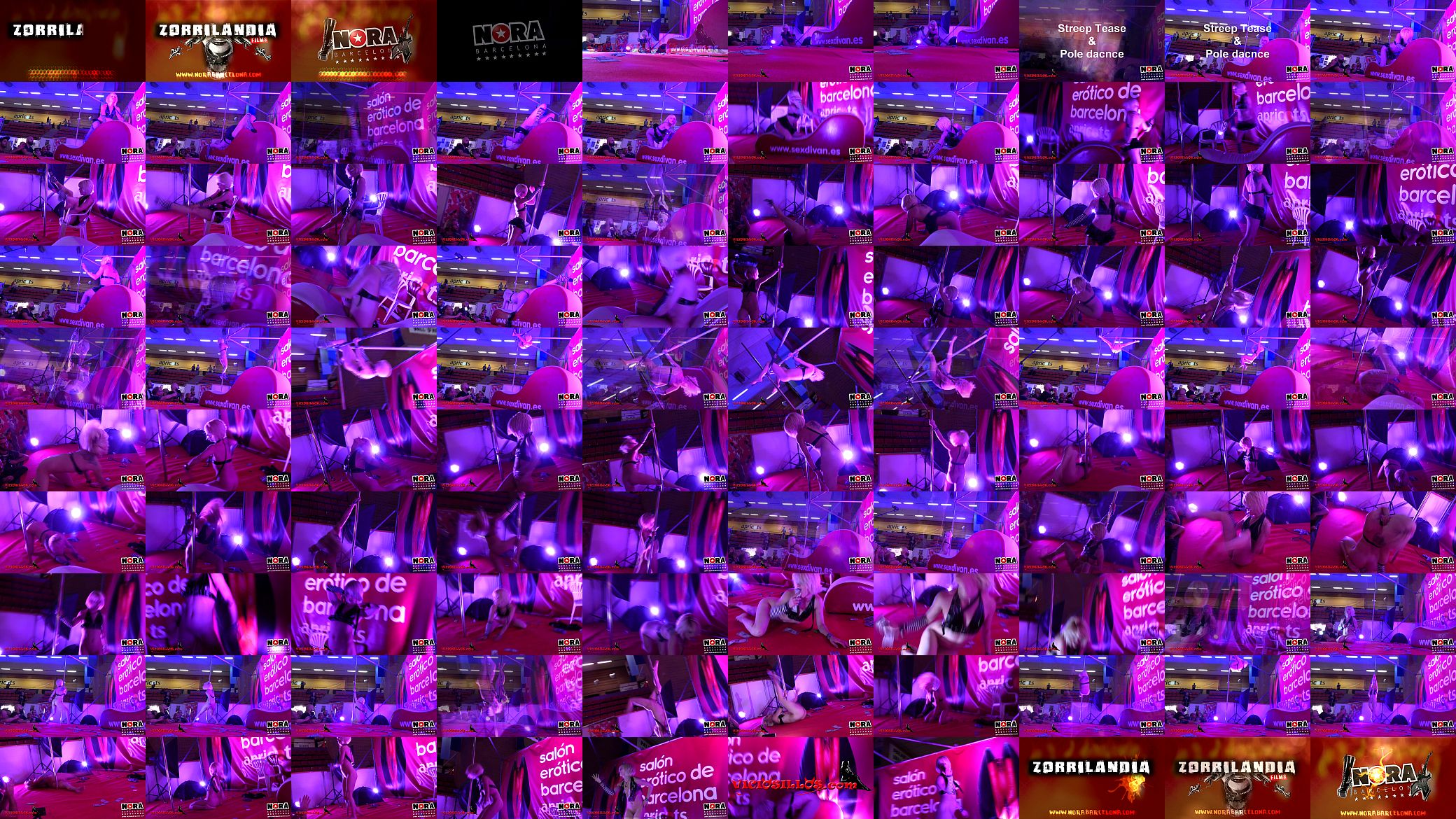 Streep Tease &amp; Pole Dance 预览图