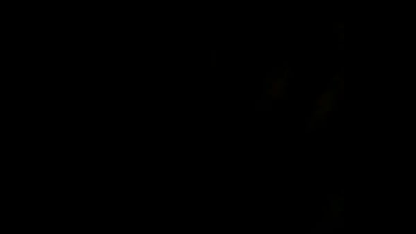 20150921 203535