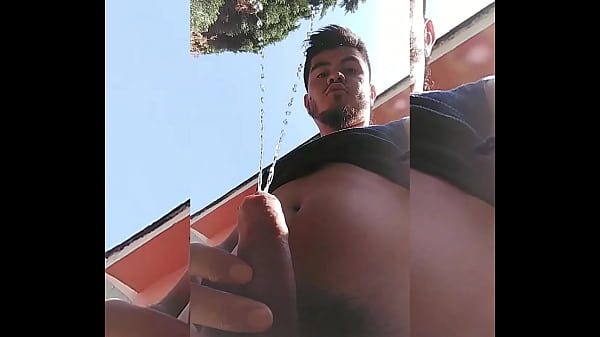 LLUVIA DORADA DE UN BUEN CHACALÓN