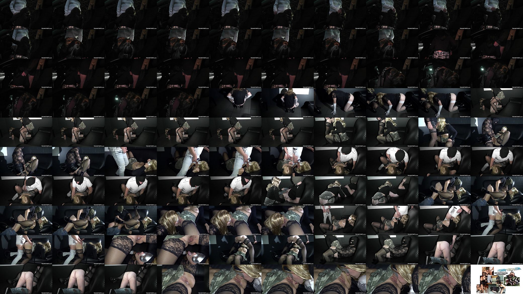 Fun with T-Girls at a car park and in a porn theater 预览图