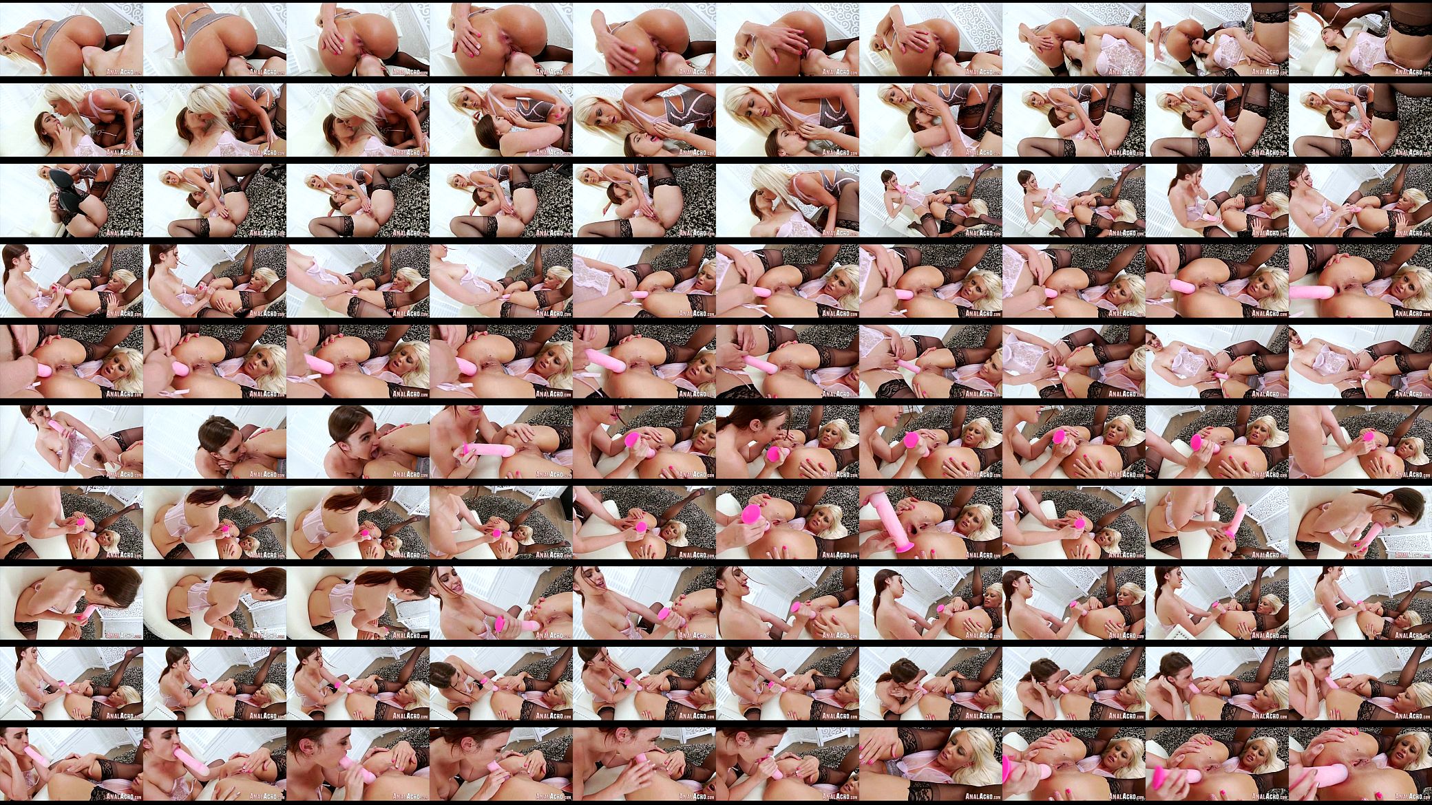 Crazy anal fun 255 预览图