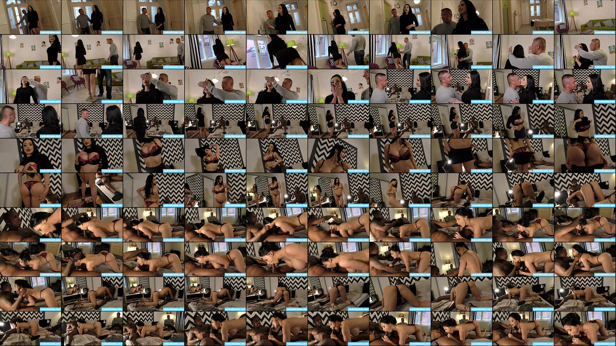 Interracial cuckold freak show 预览图