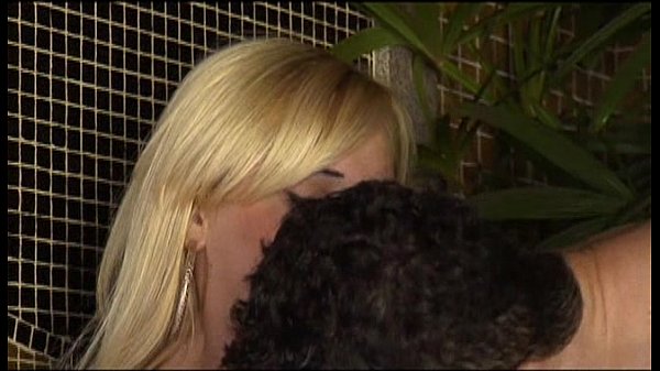 Wildlife - Fucked By A Tranny - scene 4