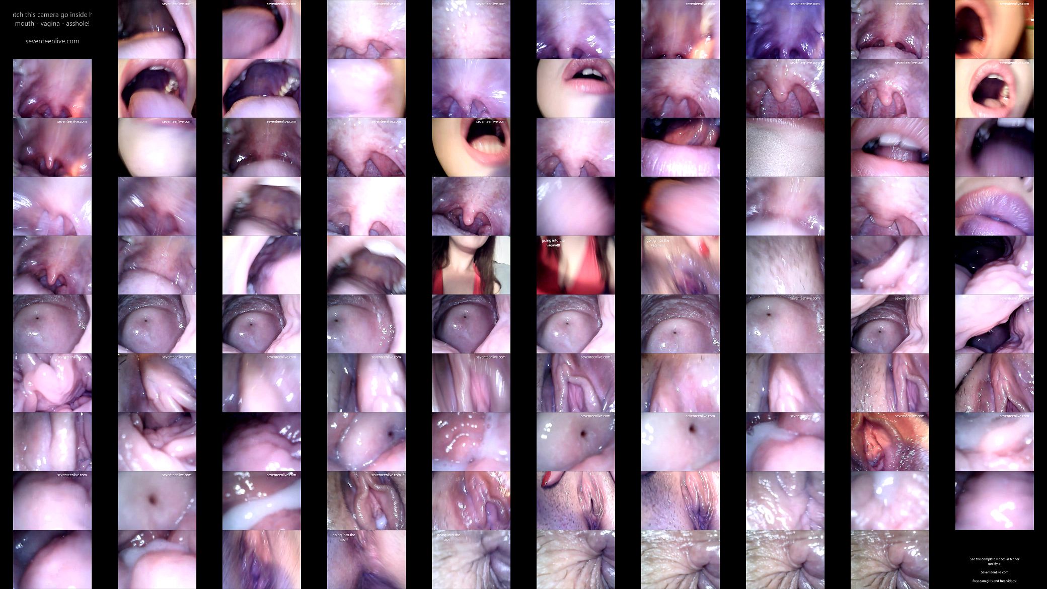 cam in mouth vagina and ass 预览图