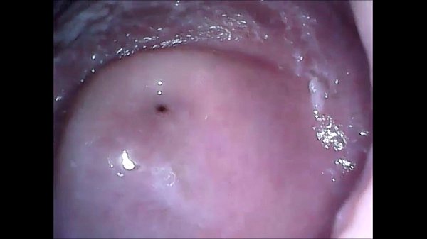Download Video - cam in mouth vagina and ass