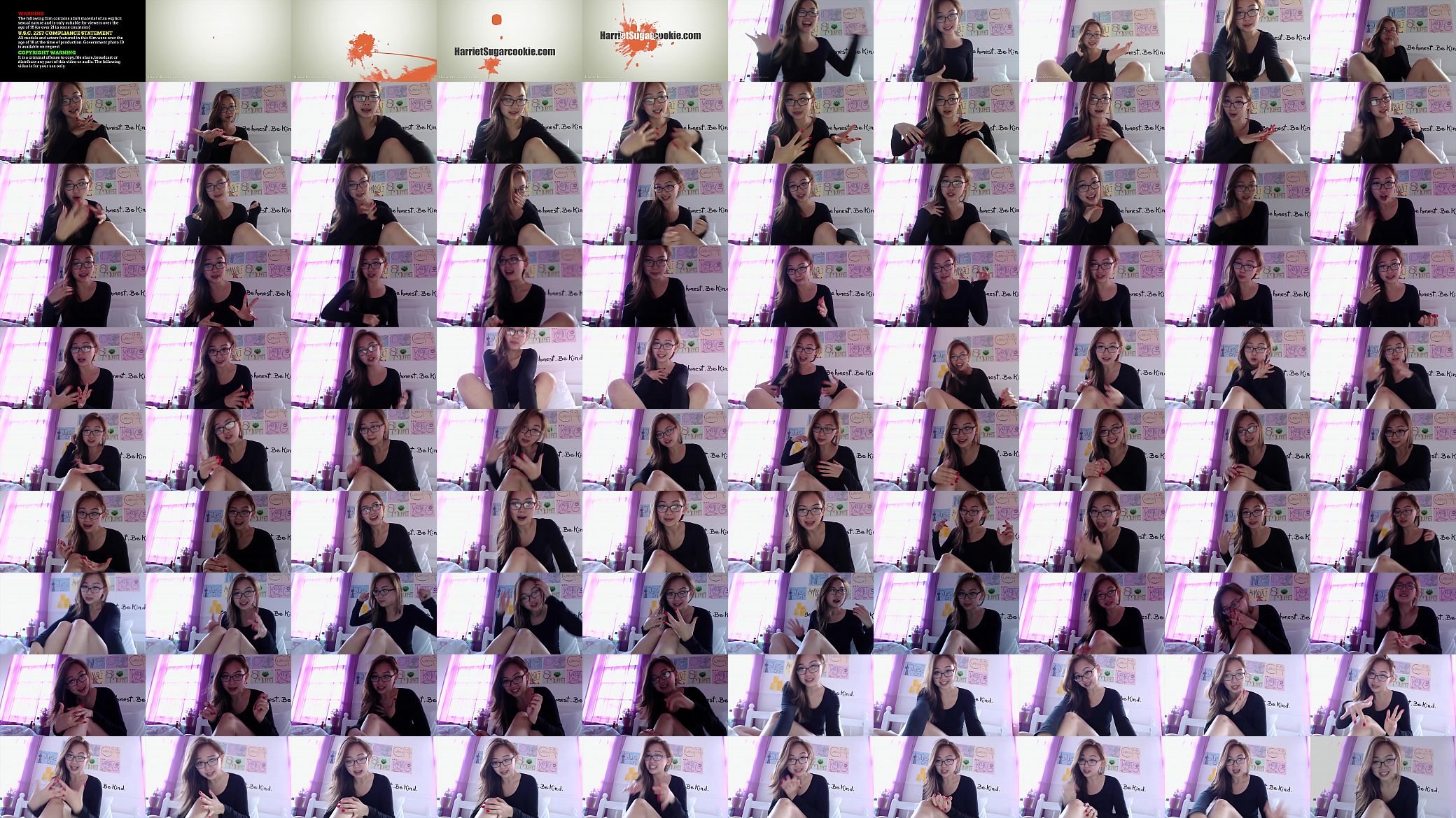 Vlog from Harriet Sugarcookie 预览图