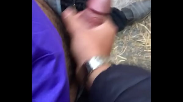 Giao hop xuat tinh tung  