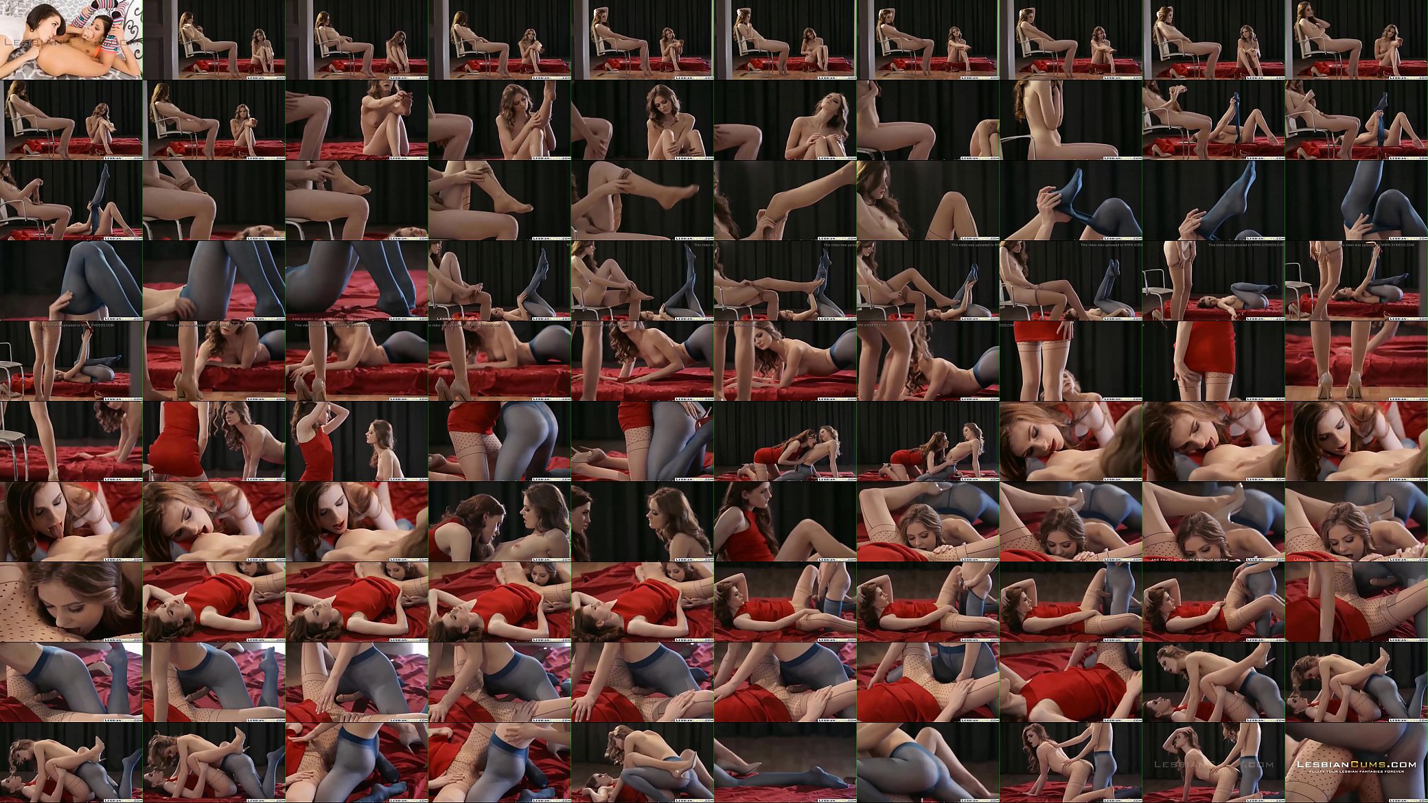 Classy Girls Fucking with Strapon 预览图