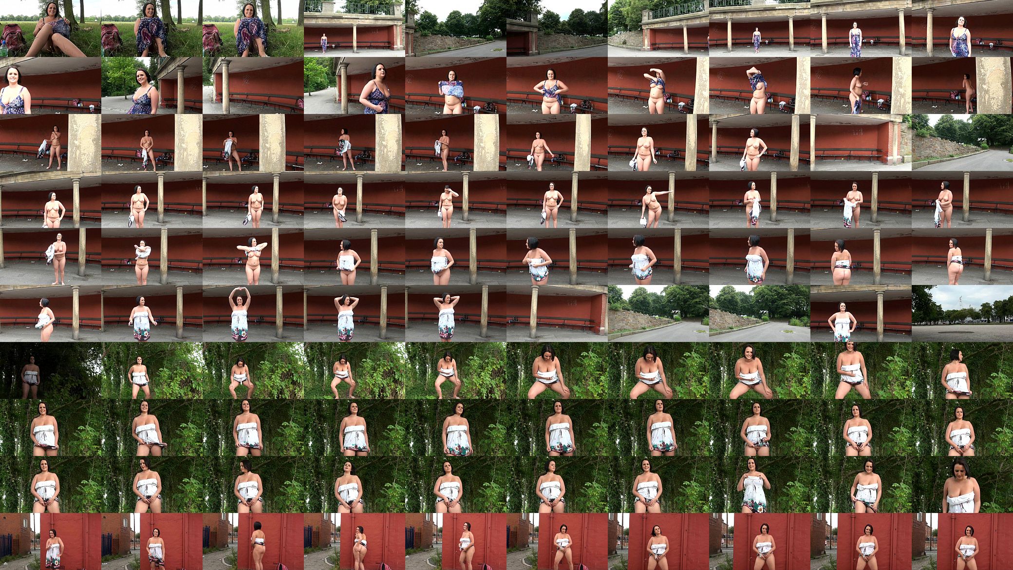 pr1 预览图