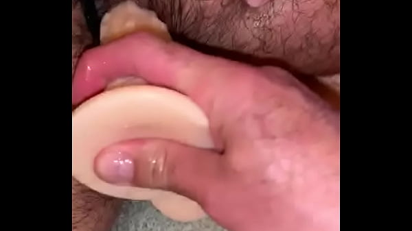 Chilean Bear Bottom 2