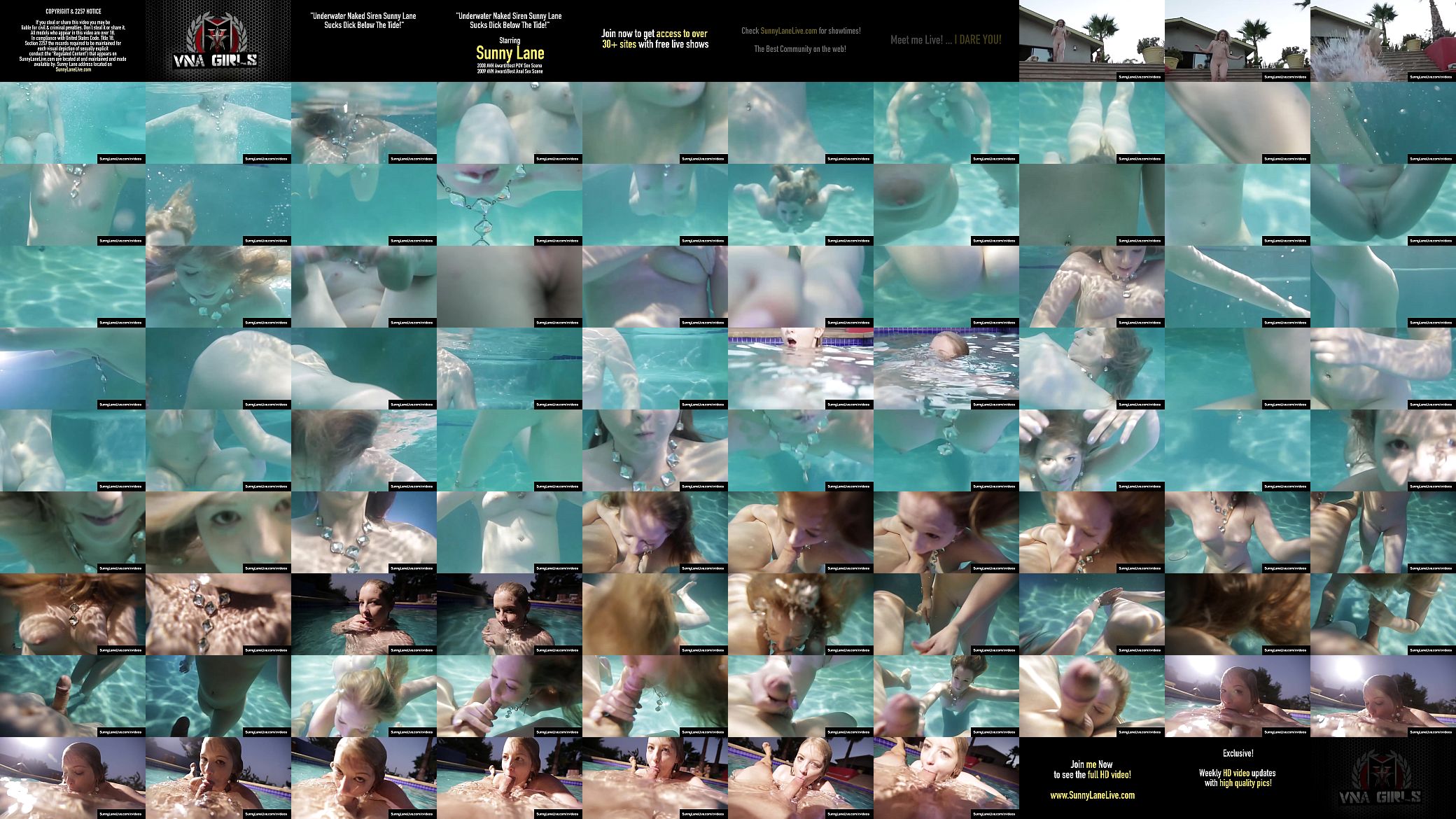 Underwater Naked Siren Sunny Lane Sucks Dick Below The Tide! 预览图