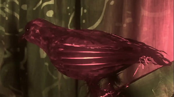 Lords Fuck Bitches In Macbath Act 1