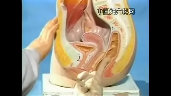 2586587557 - XVIDEOS.COM-> 