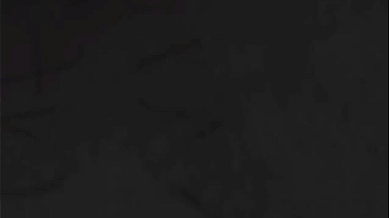 Vídeo de verificación
                   verification video muchos negros