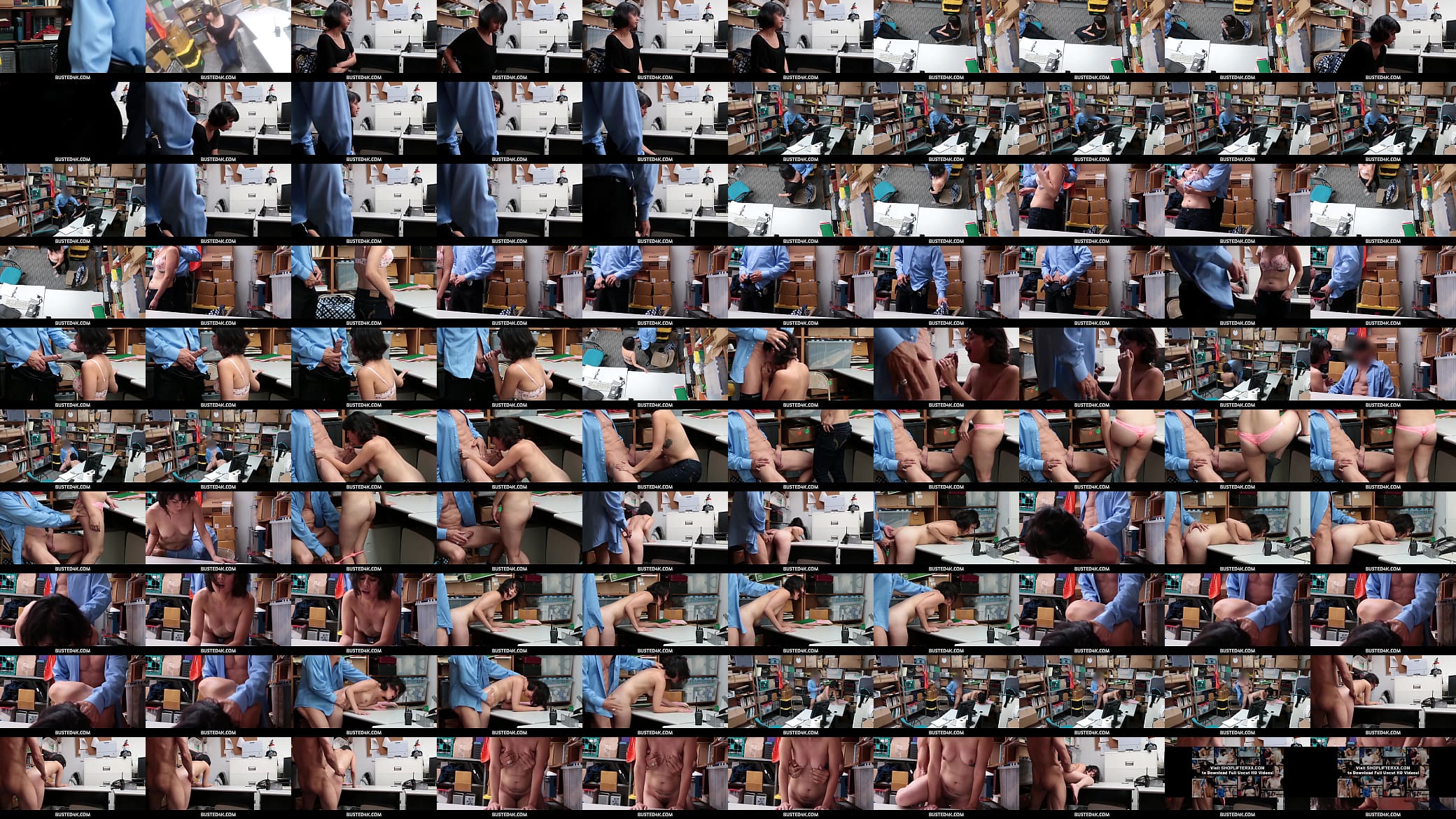 Busted4K  -  Hot Thief Penelope Reed Makes A Deal With The Security Officer 预览图