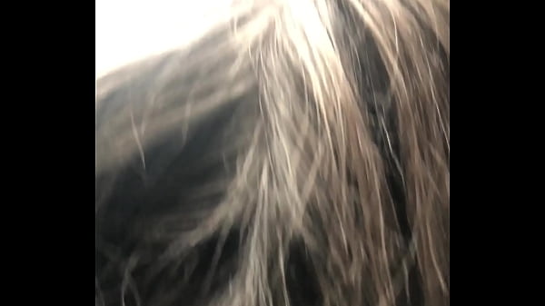 Training Gets Wild When She Bends Over And Begs For It