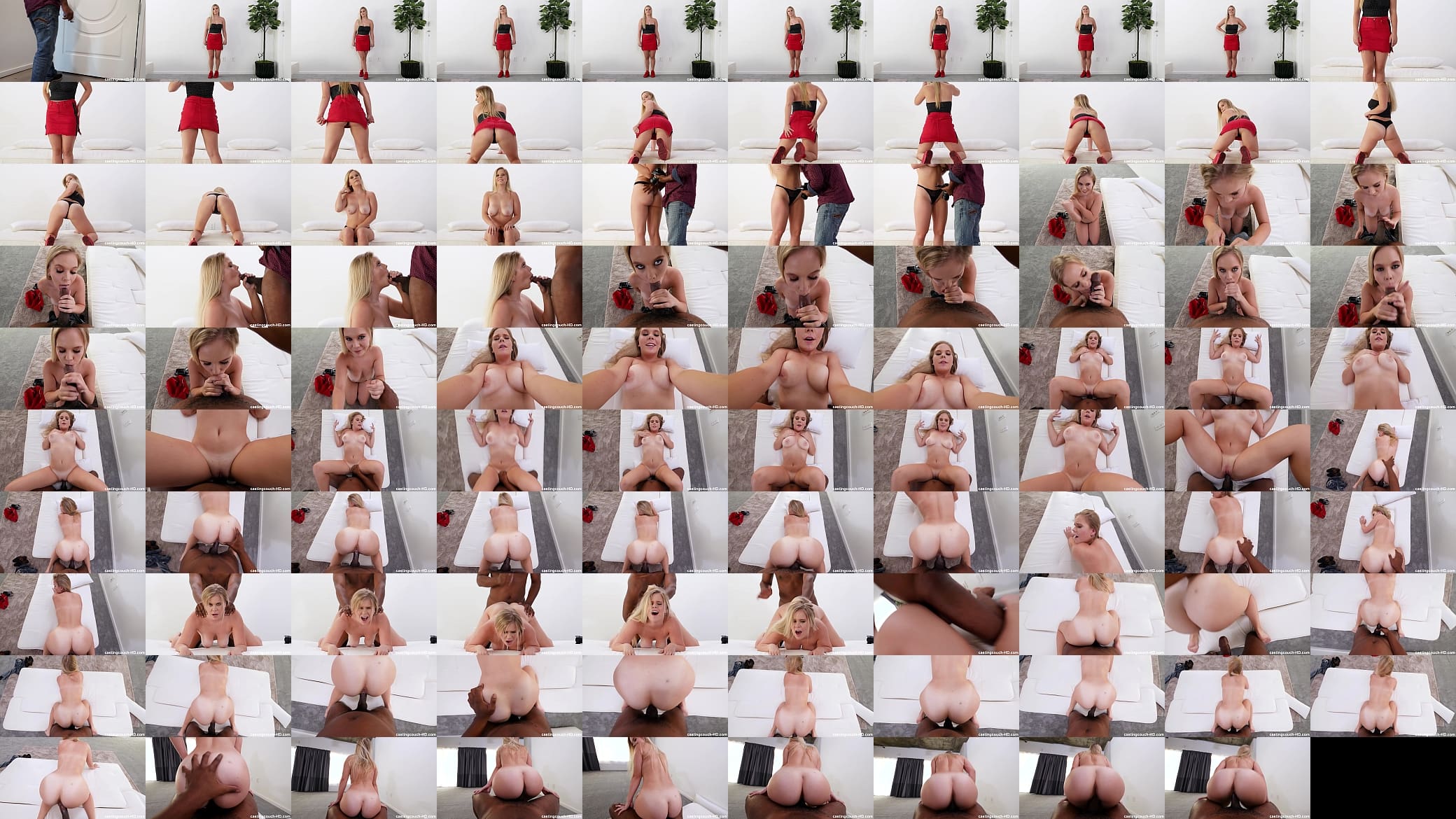 Perfect Ass White Girl Fucks To Get Into A Video 预览图
