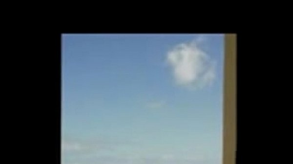 Blowjob Free Webcam Blowjob Porn Video