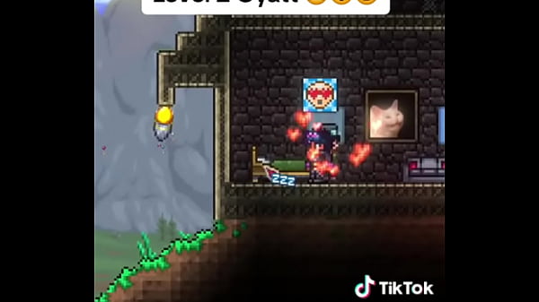 Terrarias Level 1 Gyat chat