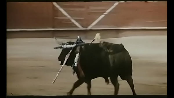 Download Video - Ein lasterhafter sommer 1982