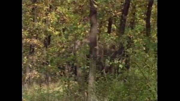 Selen in La Regina degli Elefanti (a.k.a. The Queen of Elephants) - Scene #1