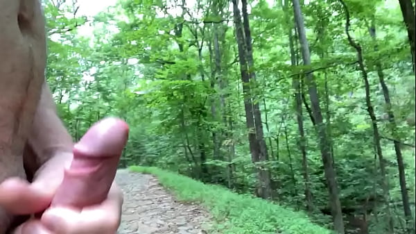 On the trail