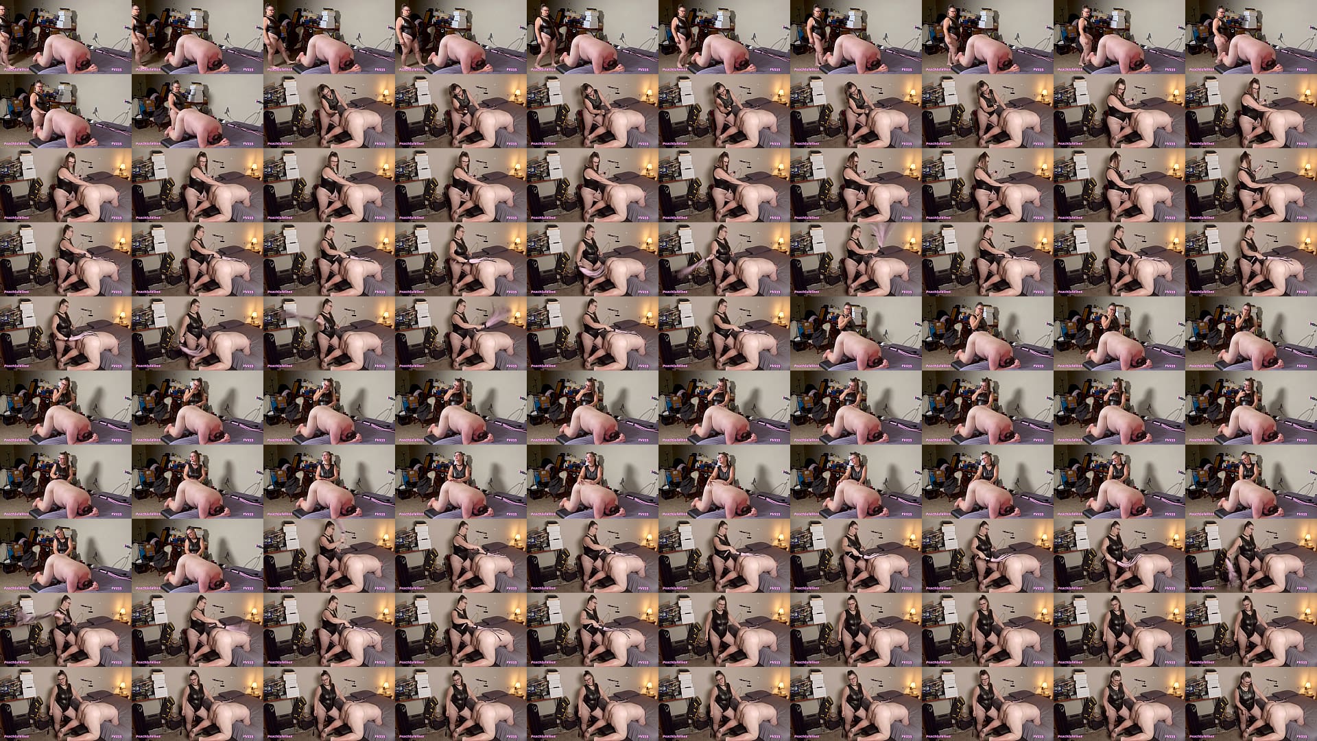 PV255 - Flogging For Fun 预览图