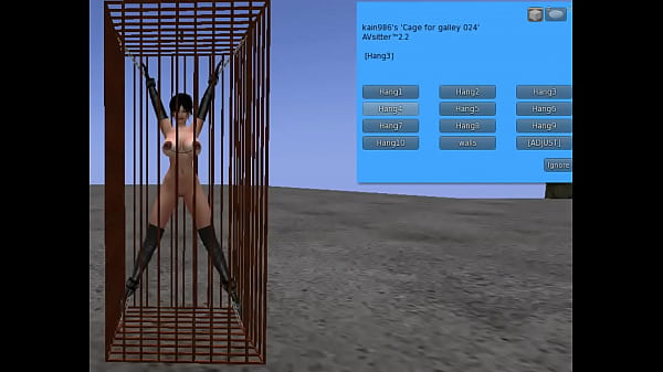 BDSM cage