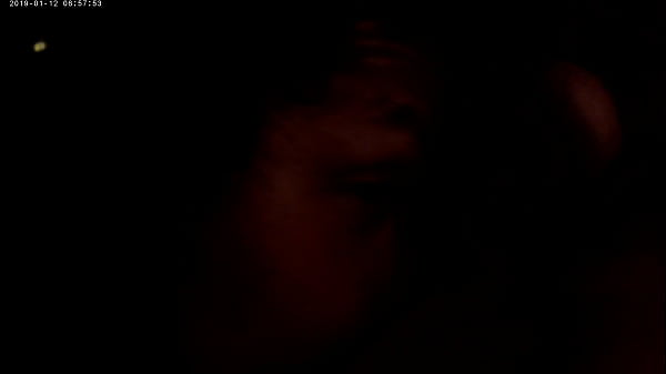 BJ for M from the Club in June 2019 Part 2