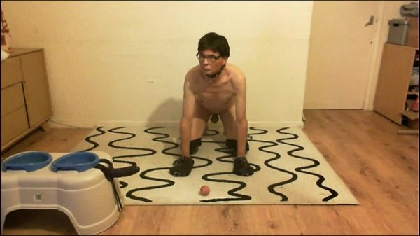 puppy tigger's training session with SirGuyM part 1