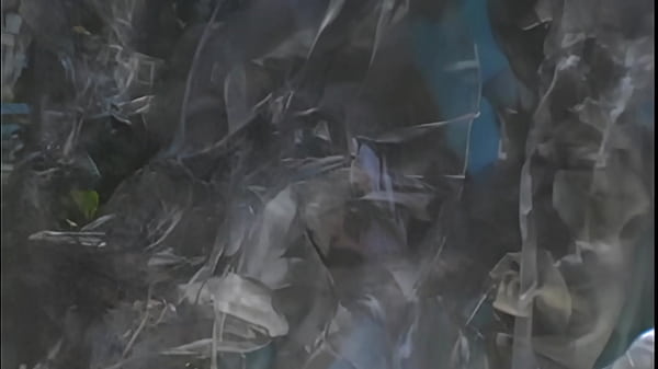 Misslaila unsatisfied stepsister playing with her big natural boobs