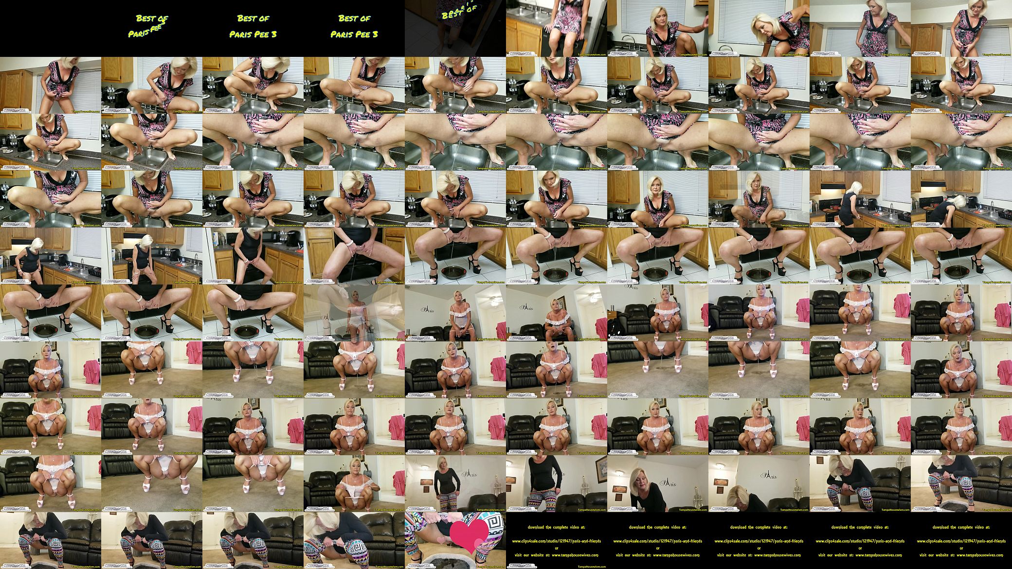 The Best of Paris Pee 3 预览图