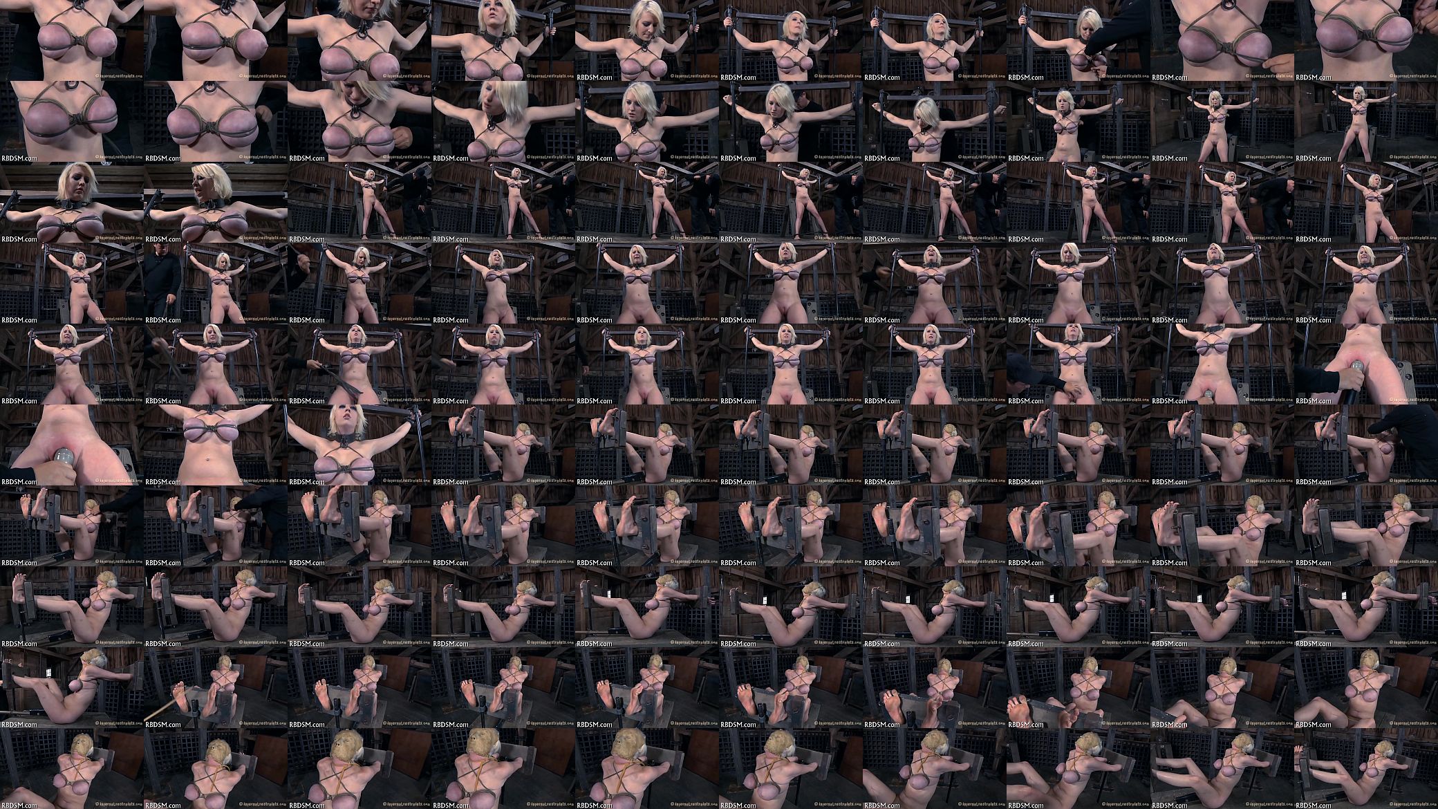 Clips of sadomasochism 预览图