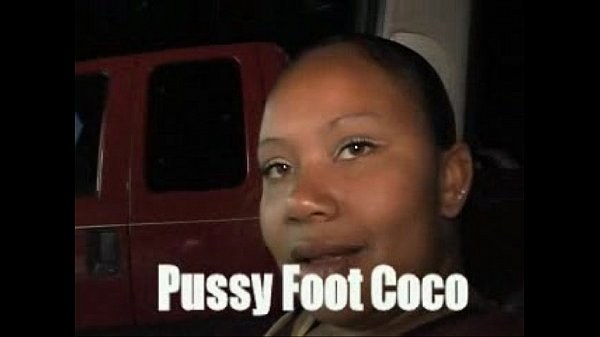 PussyFoot CoCo Wide as all Outside