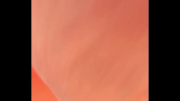 trim.0738D85A-7200-4409-81D7-0C7FA0CBF69E.MOV