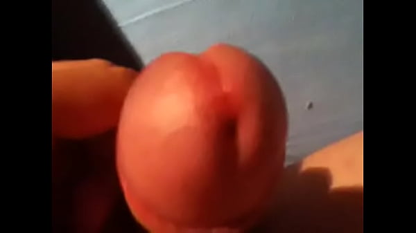 tryndamer penis