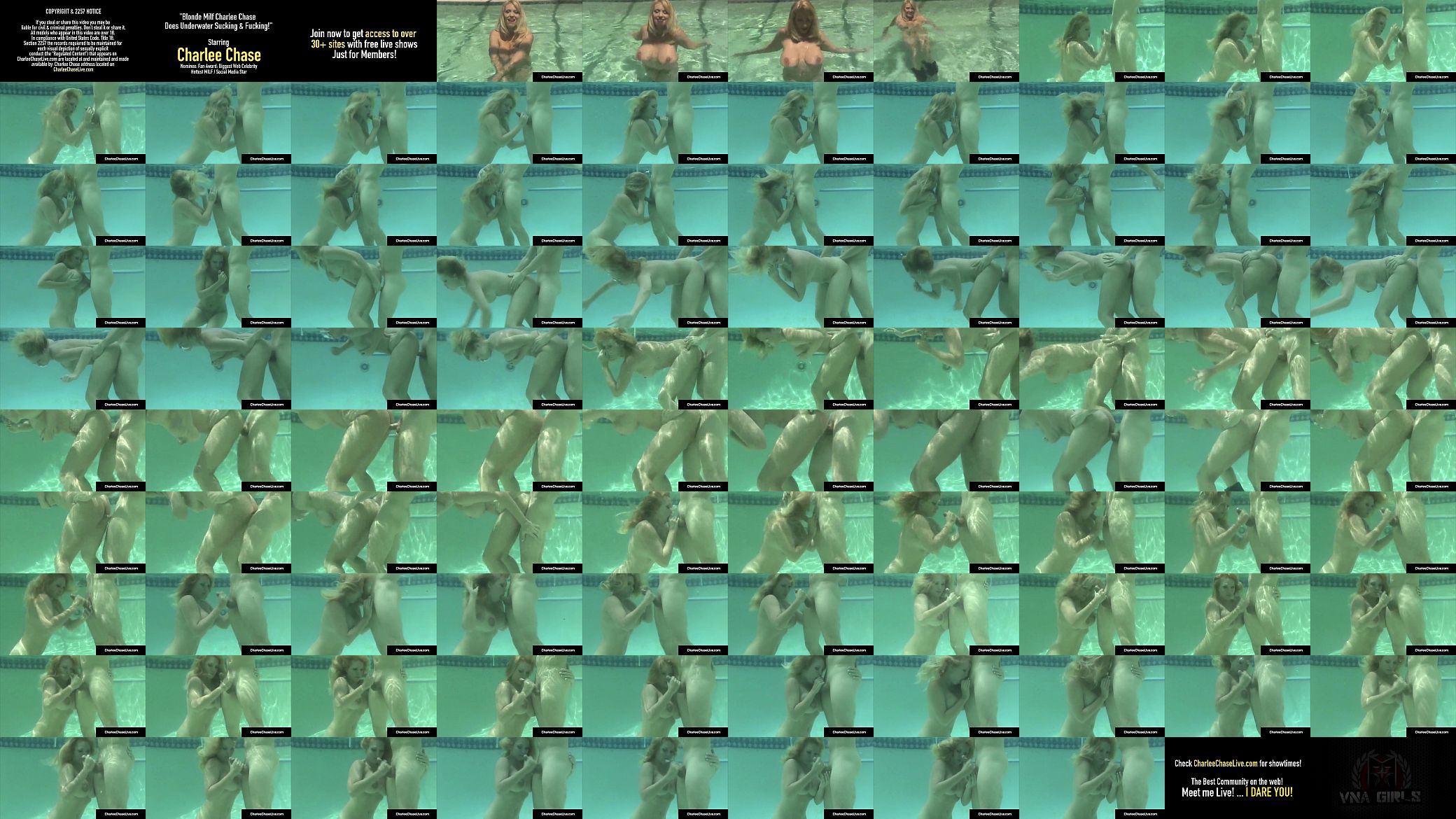 Blonde Milf Charlee Chase Does Underwater Sucking &amp; Fucking! 预览图
