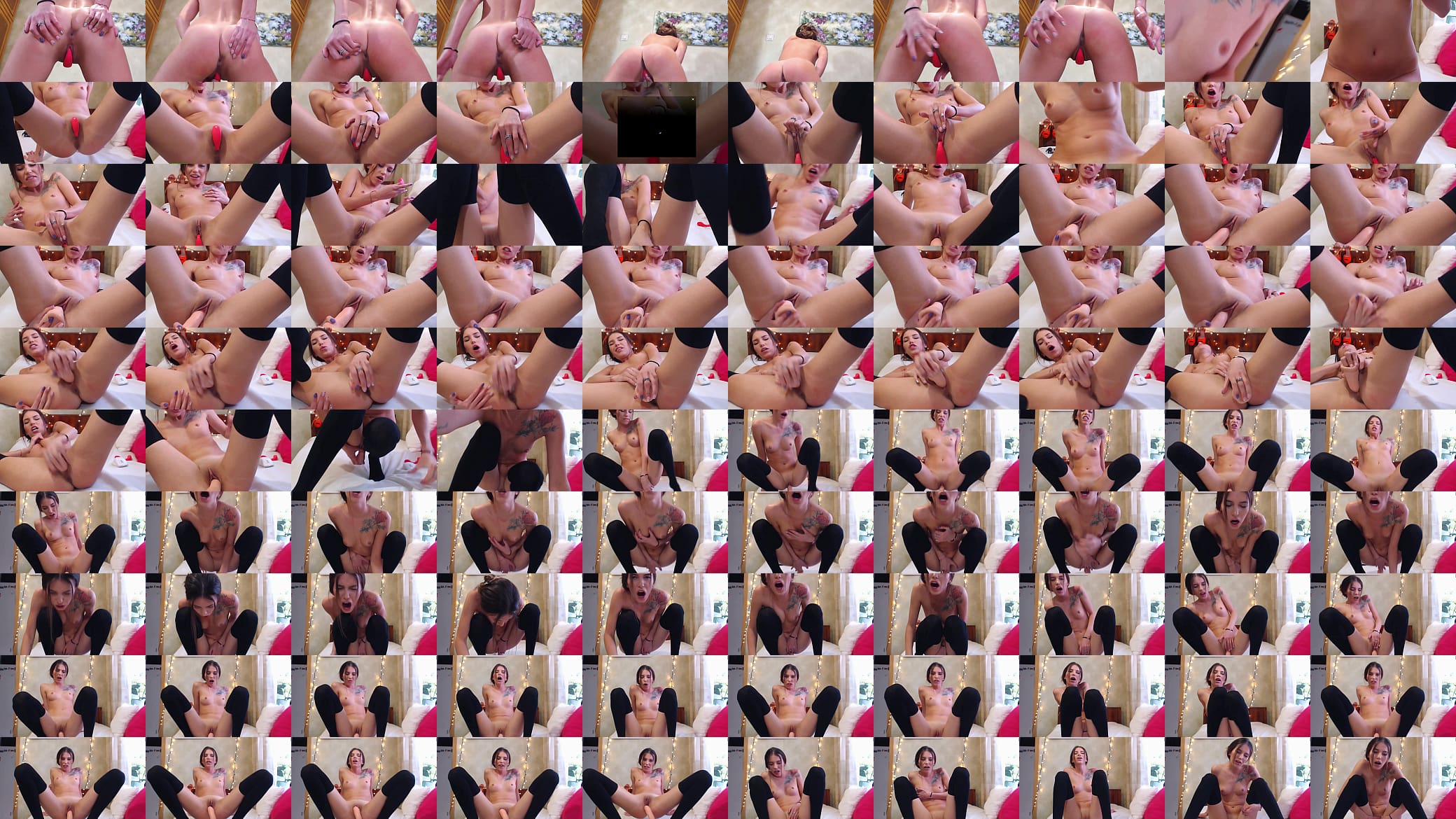Lucita3 预览图