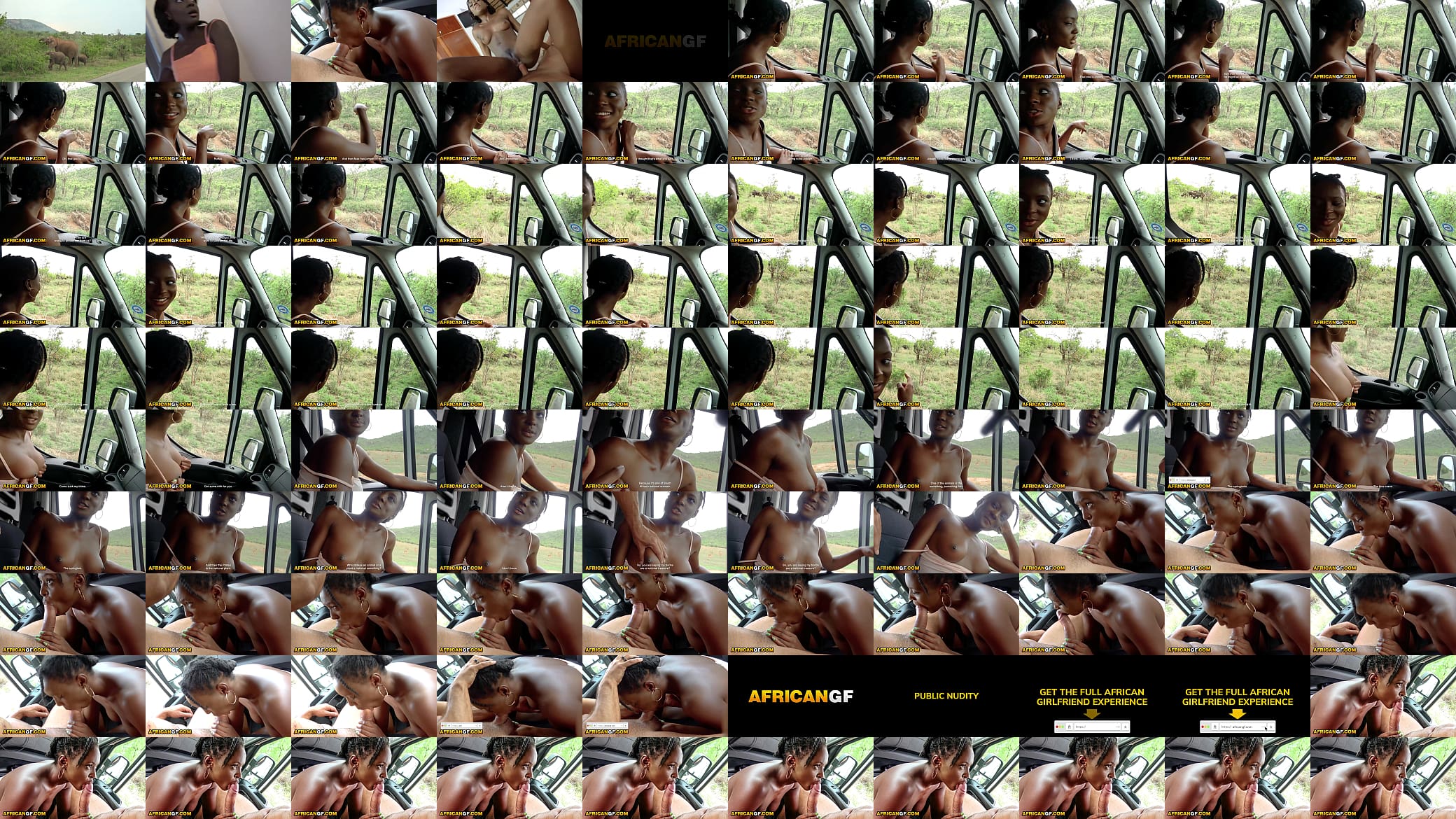 Cute Ebony Girlfriend Gives Deep African Safari Road Head POV 预览图
