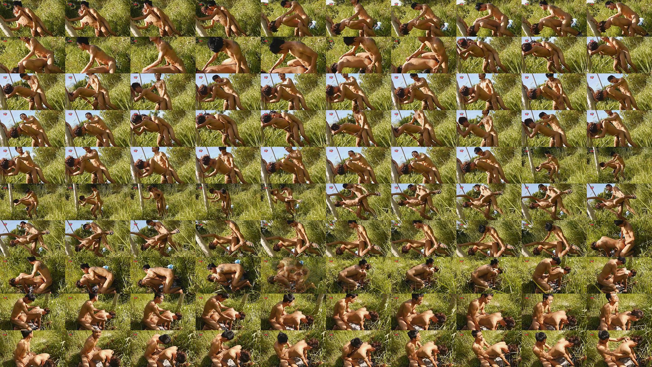 Boys In the Wild 预览图