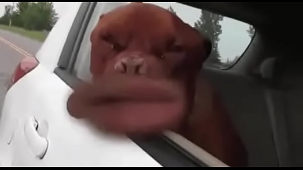  Minha Esposa Batendo Uma Punheta