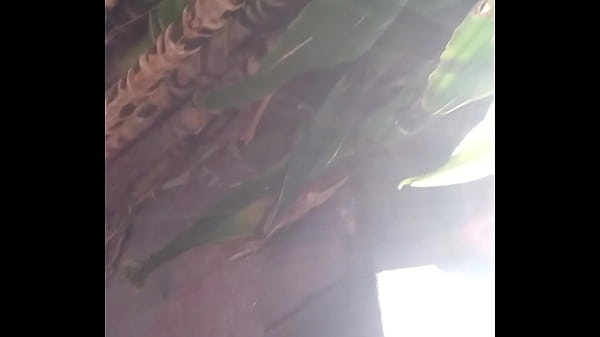 Vidéo De Vérification