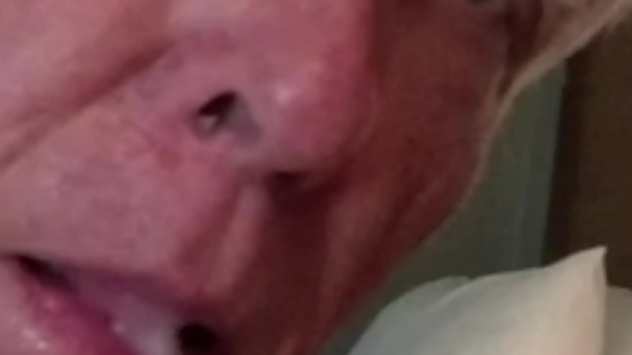 Compilación del abuelo comiendo semen - Parte 1
                   cumshot cum cock bigcock oral orgasm gay big cock gaysex gayporn gay amateur gay blowjob gay sex gay porn gay masturbation muchos negros