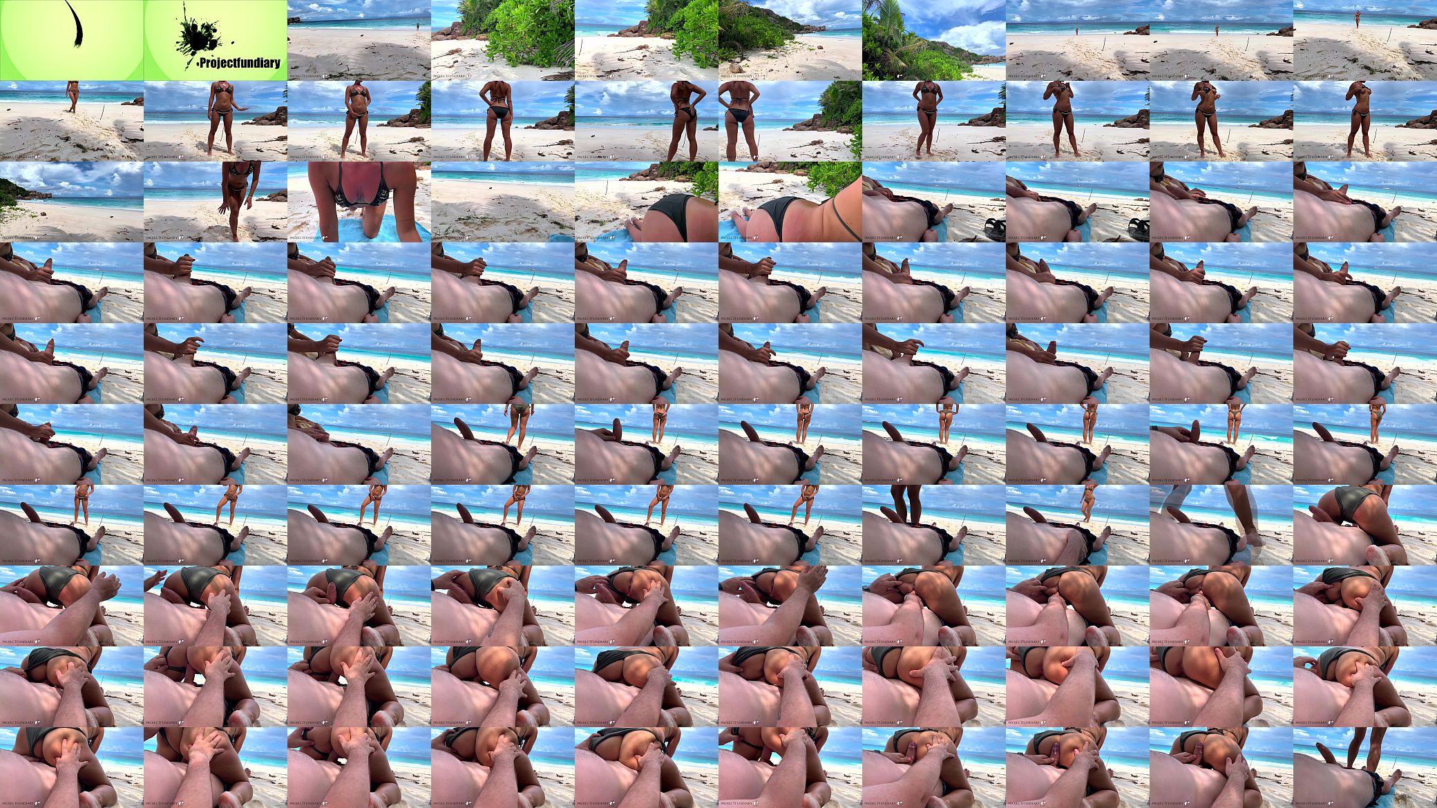wild dick ride on public dream beach - projectfundiary 预览图