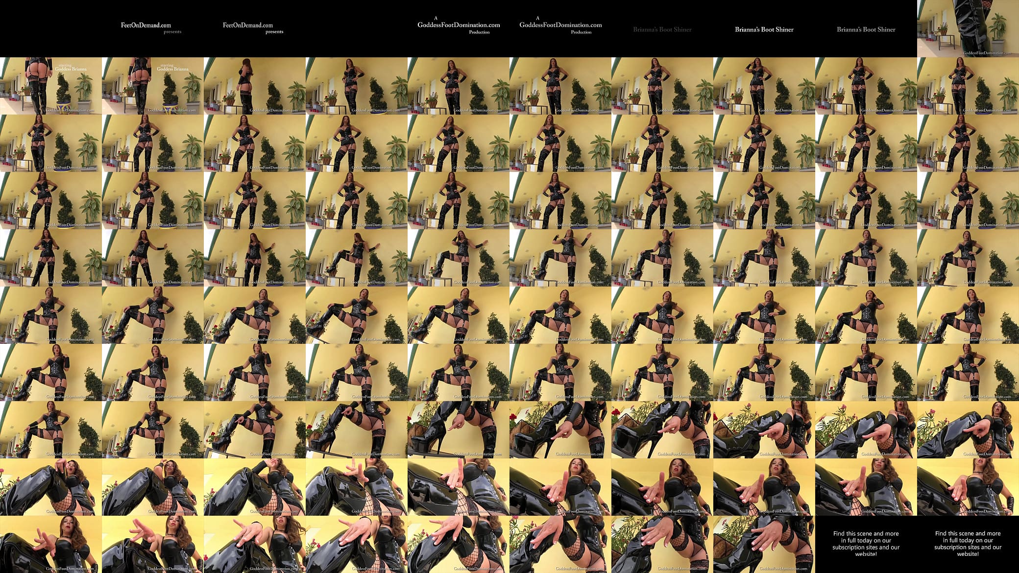 Brianna&#039;s Boot Shiner 预览图