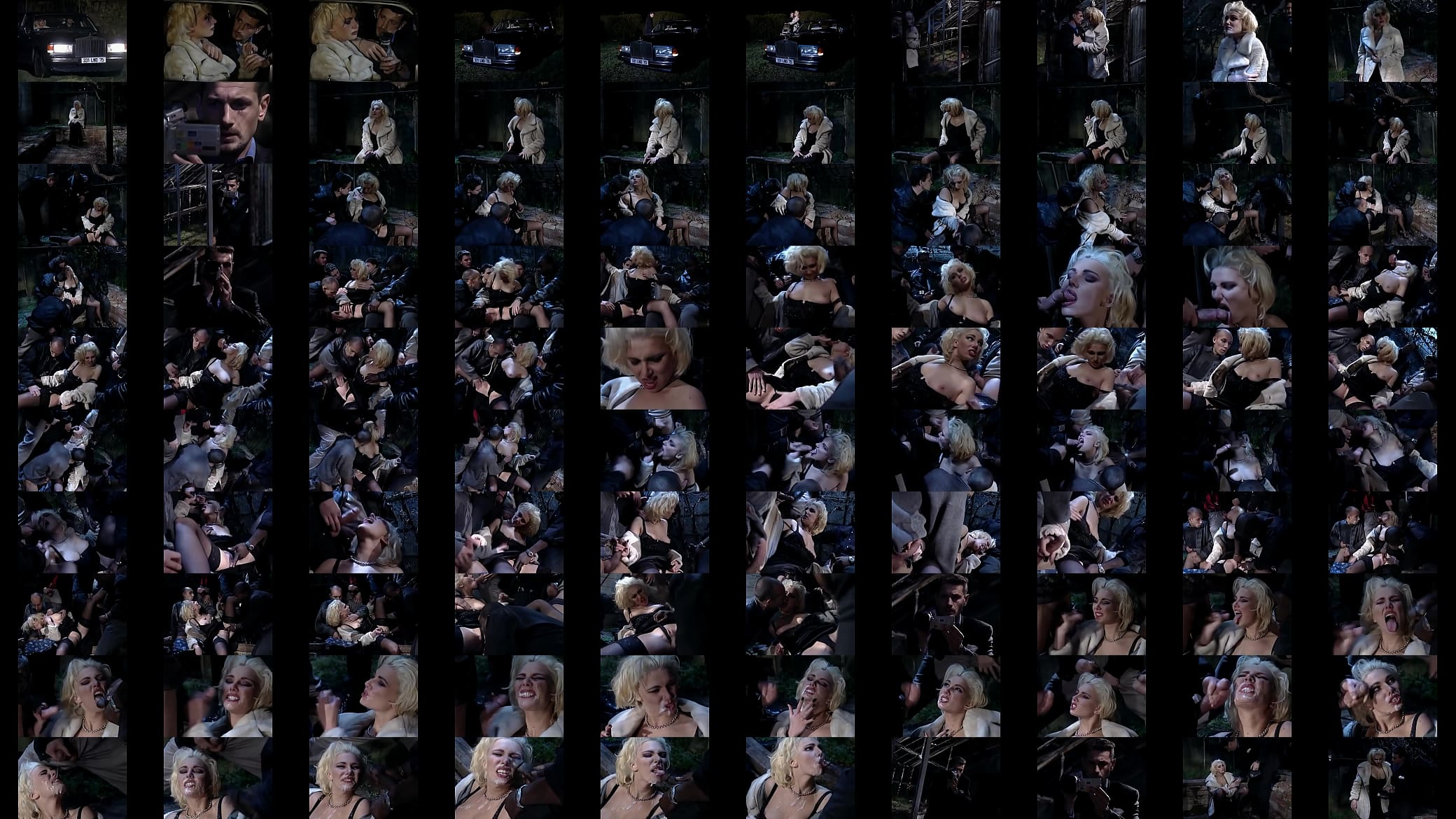 ravished by a bunch of strangers in the night 预览图