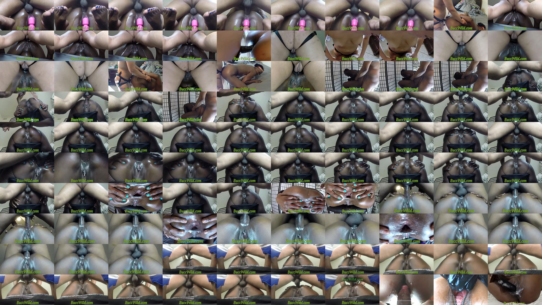 Miss Safire Compilation.....BuccWild and Miss Safire 预览图